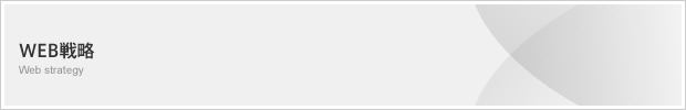 WEB戦略